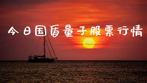 今日国盾量子股票行情_https://www.kuaijiepai.net_国际股建_第1张