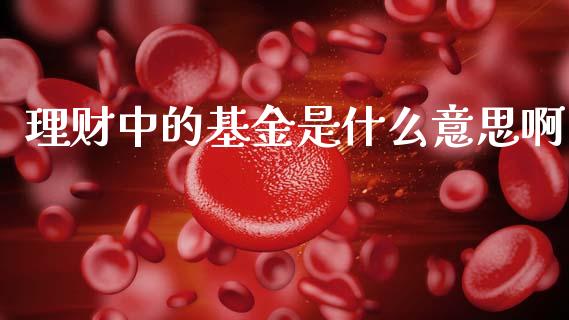 理财中的基金是什么意思啊_https://www.kuaijiepai.net_投资理财_第1张