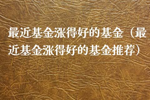 最近基金涨得好的基金（最近基金涨得好的基金推荐）_https://www.kuaijiepai.net_投资理财_第1张