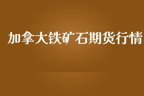 加拿大铁矿石期货行情_https://www.kuaijiepai.net_期货资讯_第1张