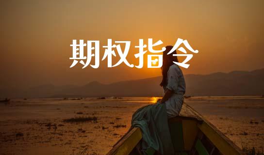 期权指令_https://www.kuaijiepai.net_期货理财_第1张