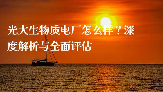 光大生物质电厂怎么样？深度解析与全面评估_https://www.kuaijiepai.net_期货理财_第1张