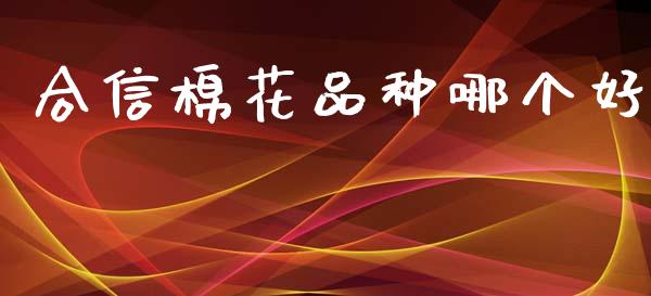 合信棉花品种哪个好_https://www.kuaijiepai.net_国际期货_第1张