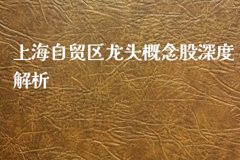 上海自贸区龙头概念股深度解析_https://www.kuaijiepai.net_期货理财_第1张