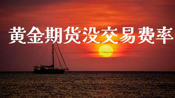 黄金期货没交易费率_https://www.kuaijiepai.net_期货资讯_第1张