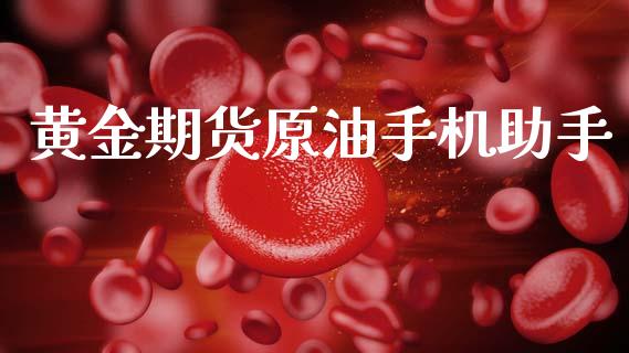 黄金期货原油手机助手_https://www.kuaijiepai.net_期货资讯_第1张