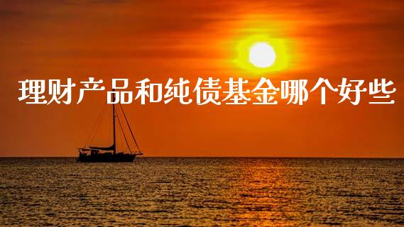 理财产品和纯债基金哪个好些_https://www.kuaijiepai.net_期货理财_第1张