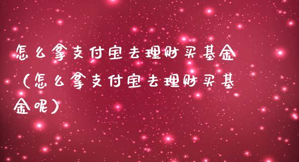 怎么拿支付宝去理财买基金（怎么拿支付宝去理财买基金呢）_https://www.kuaijiepai.net_投资理财_第1张