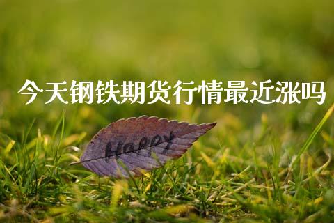 今天钢铁期货行情最近涨吗_https://www.kuaijiepai.net_期货在线_第1张