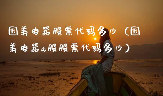 国美电器股票代码多少（国美电器a股股票代码多少）_https://www.kuaijiepai.net_新股新闻_第1张