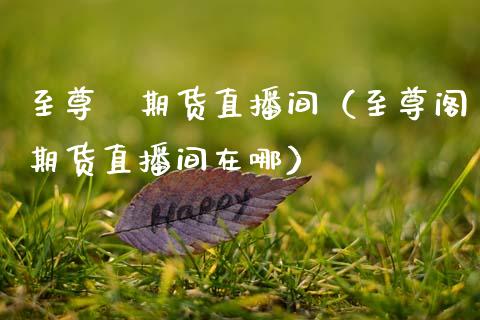至尊閣期货直播间（至尊阁期货直播间在哪）_https://www.kuaijiepai.net_期货在线_第1张