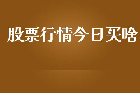 股票行情今日买啥_https://www.kuaijiepai.net_股票理论_第1张