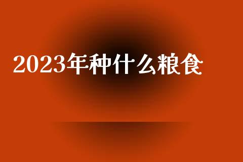 2023年种什么粮食_https://www.kuaijiepai.net_国际期货_第1张