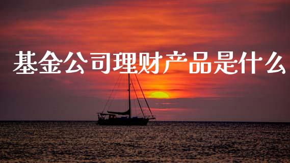 基金公司理财产品是什么_https://www.kuaijiepai.net_投资理财_第1张