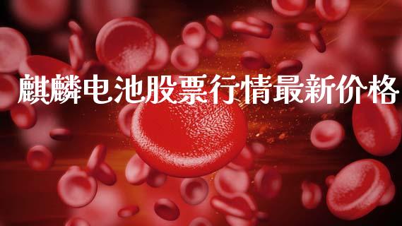 麒麟电池股票行情最新价格_https://www.kuaijiepai.net_国际股建_第1张