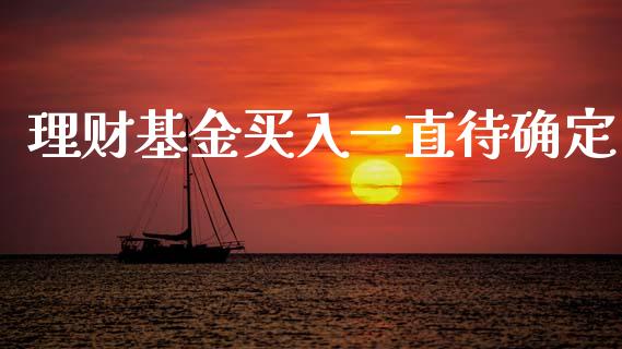 理财基金买入一直待确定_https://www.kuaijiepai.net_期货理财_第1张