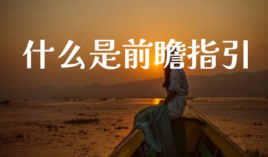什么是前瞻指引_https://www.kuaijiepai.net_投资理财_第1张
