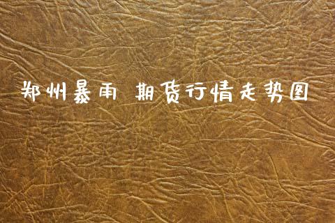 郑州暴雨 期货行情走势图_https://www.kuaijiepai.net_国际期货_第1张