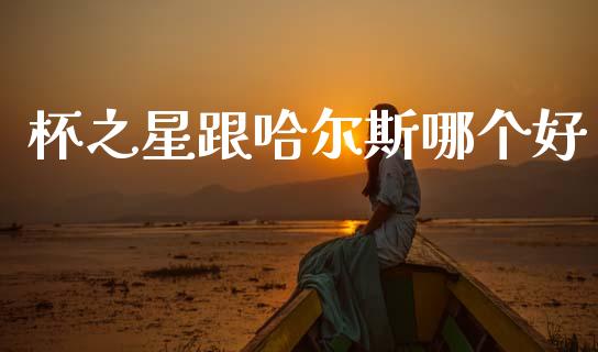 杯之星跟哈尔斯哪个好_https://www.kuaijiepai.net_国际期货_第1张