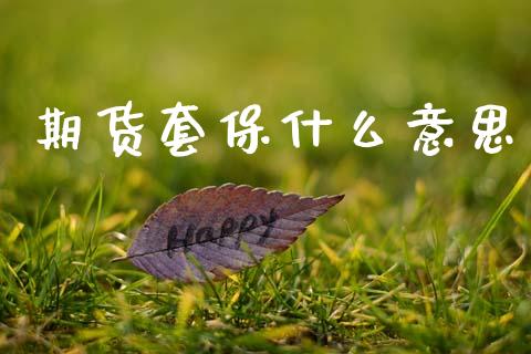 期货套保什么意思_https://www.kuaijiepai.net_投资理财_第1张