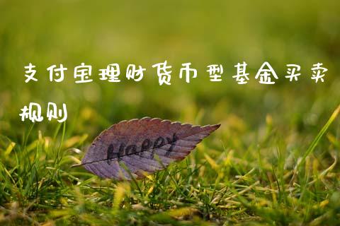 支付宝理财货币型基金买卖规则_https://www.kuaijiepai.net_期货理财_第1张