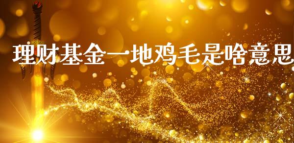 理财基金一地鸡毛是啥意思_https://www.kuaijiepai.net_期货理财_第1张