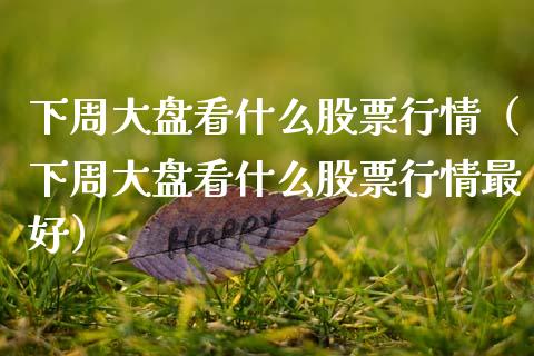 下周大盘看什么股票行情（下周大盘看什么股票行情最好）_https://www.kuaijiepai.net_股票理论_第1张