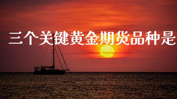三个关键黄金期货品种是_https://www.kuaijiepai.net_国际期货_第1张