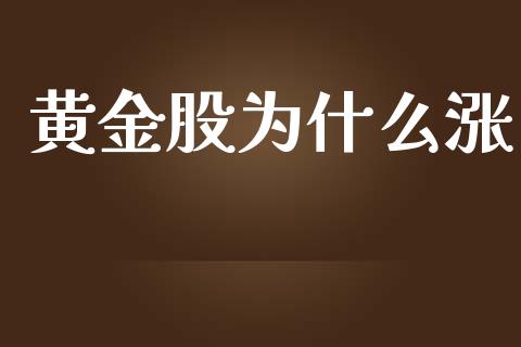 黄金股为什么涨_https://www.kuaijiepai.net_期货在线_第1张