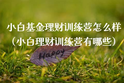 小白基金理财训练营怎么样（小白理财训练营有哪些）_https://www.kuaijiepai.net_期货理财_第1张