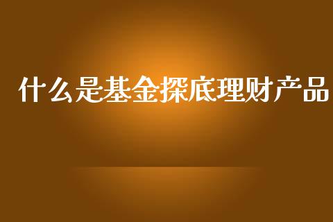 什么是基金探底理财产品_https://www.kuaijiepai.net_期货理财_第1张