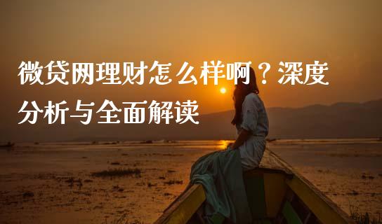 微贷网理财怎么样啊？深度分析与全面解读_https://www.kuaijiepai.net_新股新闻_第1张