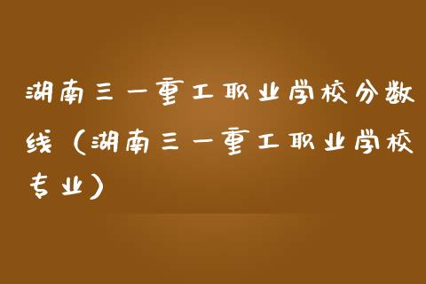 湖南三一重工职业学校分数线（湖南三一重工职业学校专业）_https://www.kuaijiepai.net_国际股建_第1张