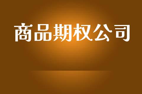商品期权公司_https://www.kuaijiepai.net_股票理论_第1张