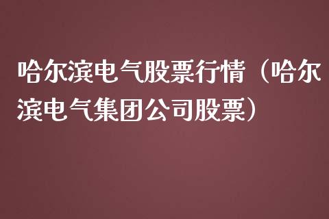 哈尔滨电气股票行情（哈尔滨电气集团公司股票）_https://www.kuaijiepai.net_股票理论_第1张