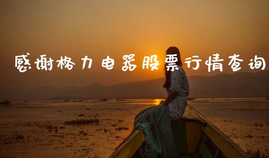 感谢格力电器股票行情查询_https://www.kuaijiepai.net_国际股建_第1张