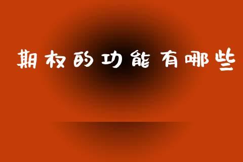 期权的功能有哪些_https://www.kuaijiepai.net_国际期货_第1张