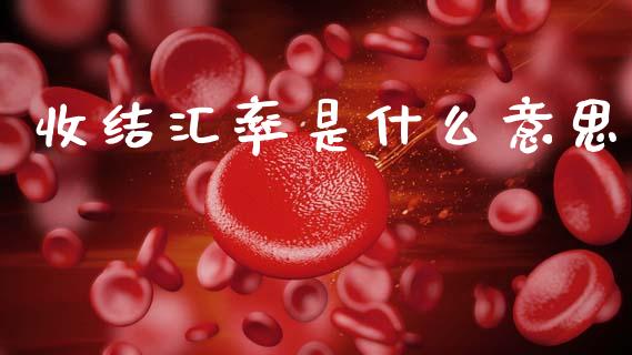 收结汇率是什么意思_https://www.kuaijiepai.net_投资理财_第1张