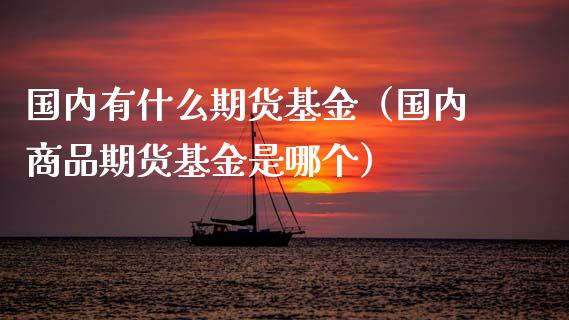 国内有什么期货基金(国内商品期货基金是哪个)_投资理财_第1张_快捷排财经网 国内有什么期货基金(国内商品期货基金是哪个)_https://www.kuaijiepai.net_投资理财_第1张