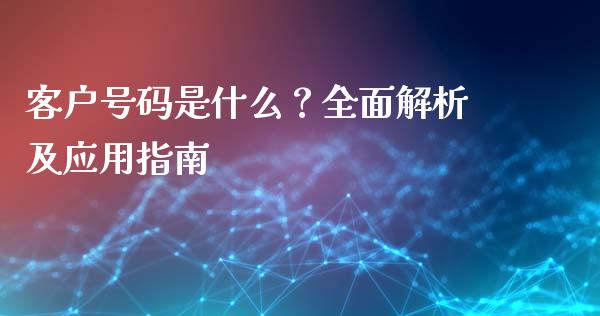 客户号码是什么？全面解析及应用指南_https://www.kuaijiepai.net_股票理论_第1张