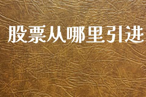 股票从哪里引进_https://www.kuaijiepai.net_国际股建_第1张