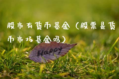 股市有货币基金（股票是货币市场基金吗）_https://www.kuaijiepai.net_期货理财_第1张