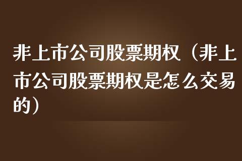 非上市公司股票期权（非上市公司股票期权是怎么交易的）_https://www.kuaijiepai.net_新股新闻_第1张