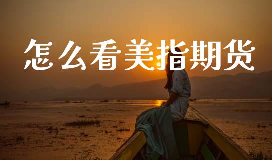 怎么看美指期货_https://www.kuaijiepai.net_国际期货_第1张