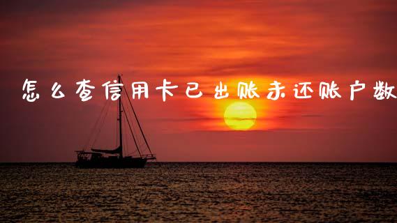 怎么查信用卡已出账未还账户数_https://www.kuaijiepai.net_新股新闻_第1张