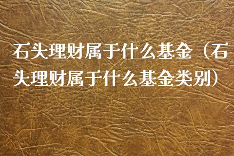 石头理财属于什么基金（石头理财属于什么基金类别）_https://www.kuaijiepai.net_投资理财_第1张