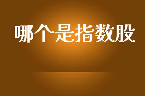 哪个是指数股_https://www.kuaijiepai.net_国际期货_第1张
