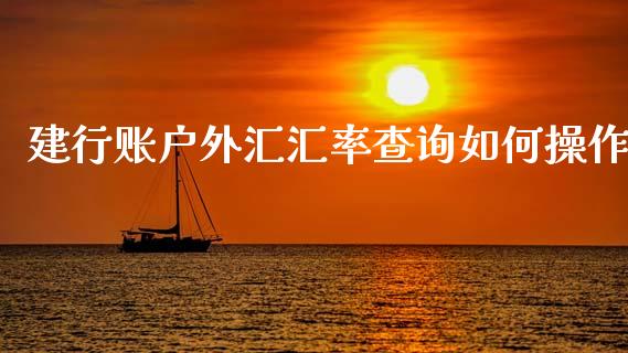 建行账户外汇汇率查询如何操作_https://www.kuaijiepai.net_国际股建_第1张