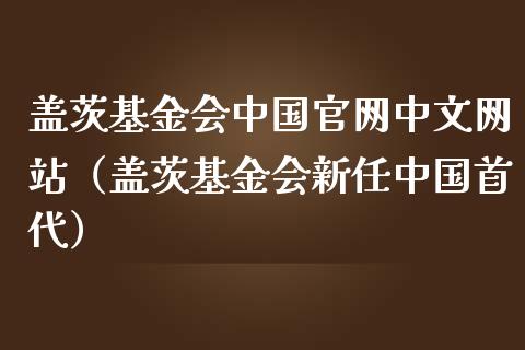 盖茨基金会中国官网中文网站（盖茨基金会新任中国首代）_https://www.kuaijiepai.net_期货理财_第1张