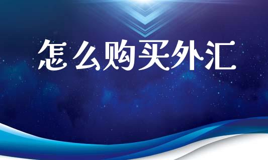 怎么购买外汇_https://www.kuaijiepai.net_股票理论_第1张